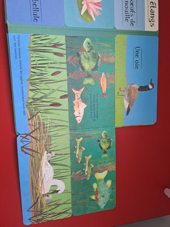 Livre nature - photo numéro 2