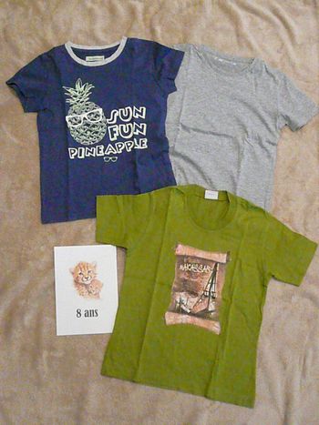 Lot de 3 tee-shirts 8 ans (n°36)