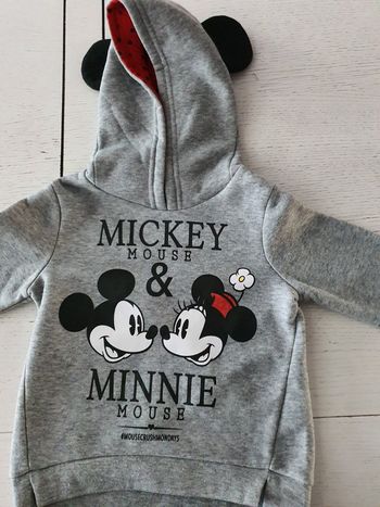 Sweat capuche disney 3 ans