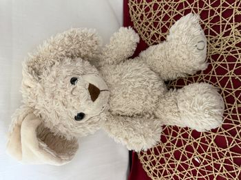 caddles & friends doudou lapin