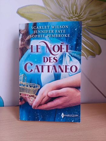 Le Noël des Cattaneo - DON