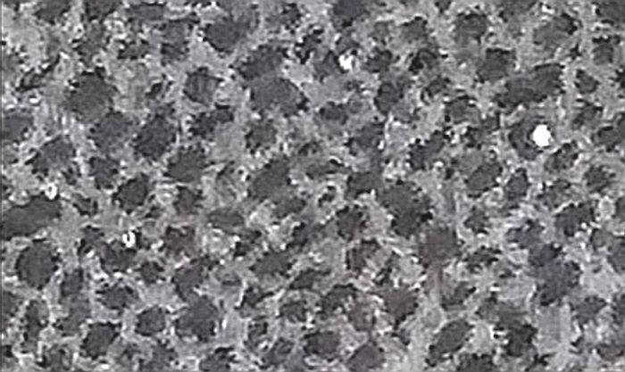 4 ans tissaia veste grise zippé a capuche leopard toutes saisons /très bonne état - photo numéro 8