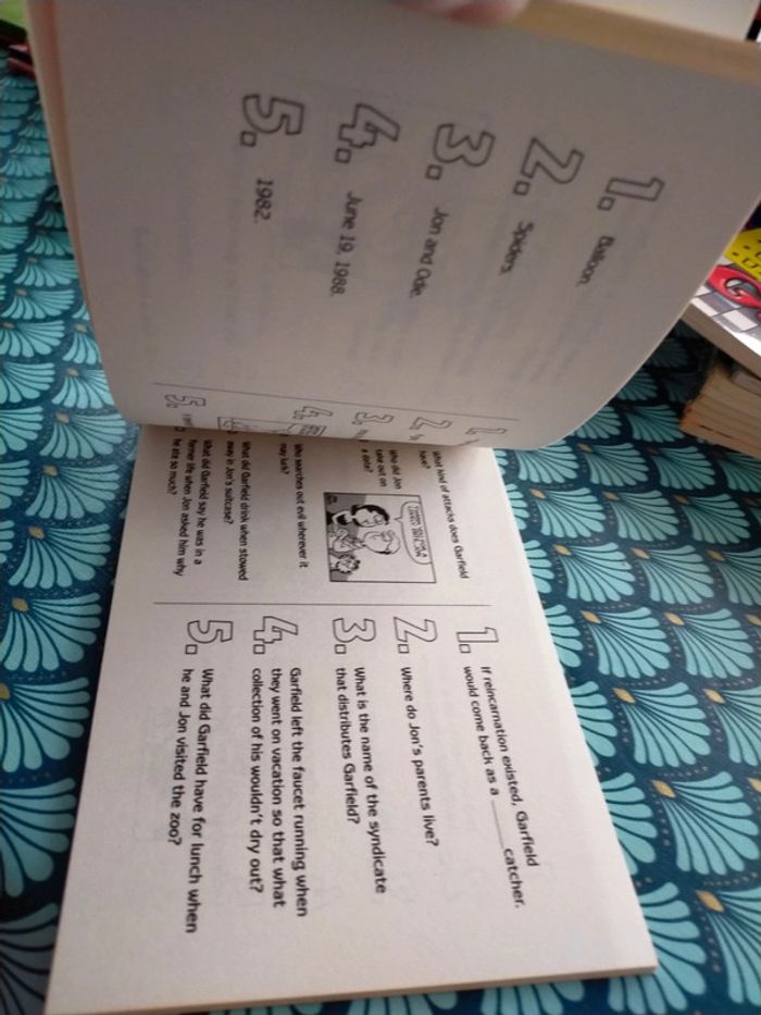 Garfield trivia Book - photo numéro 5
