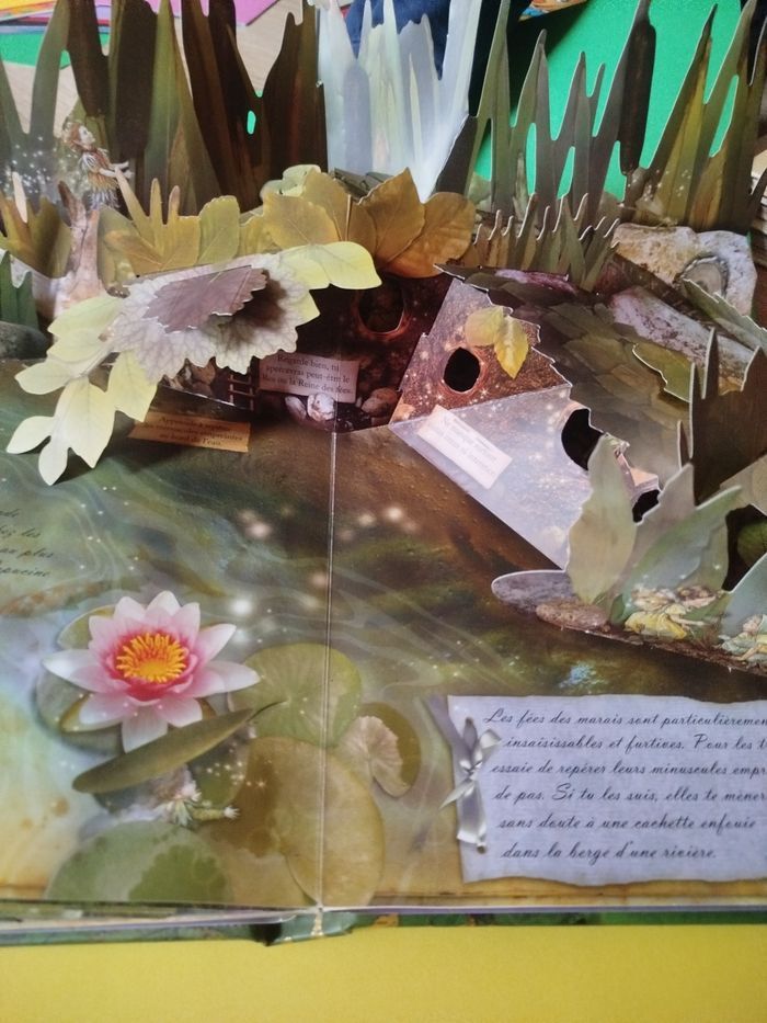 Pop-up à la recherche des fées et des fleurs - photo numéro 5