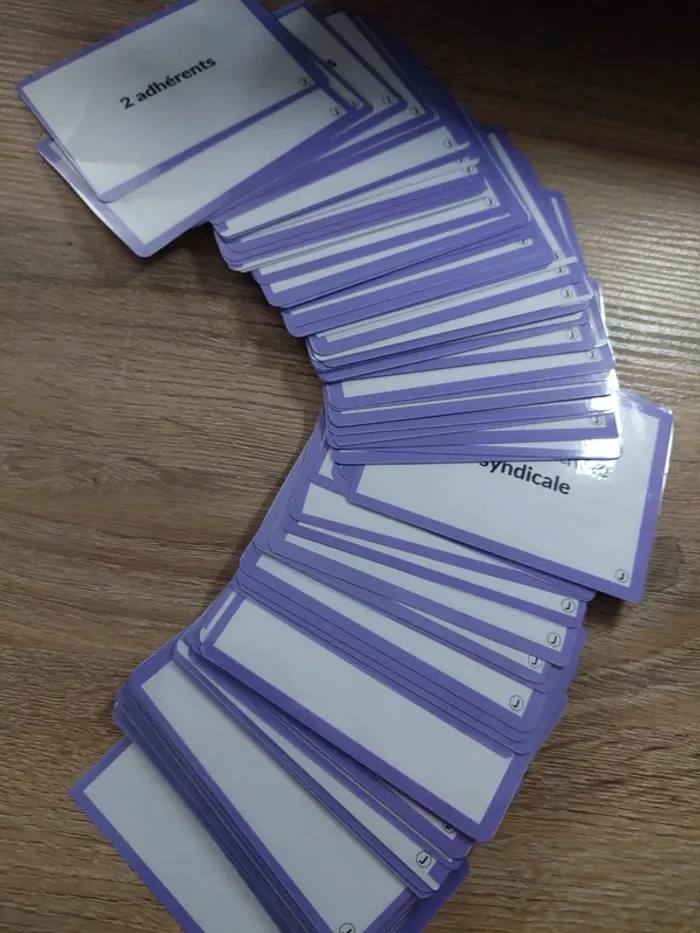 Flashcards Droit du Travail jurixio – imprimé, découpé et plastifié - excellent état