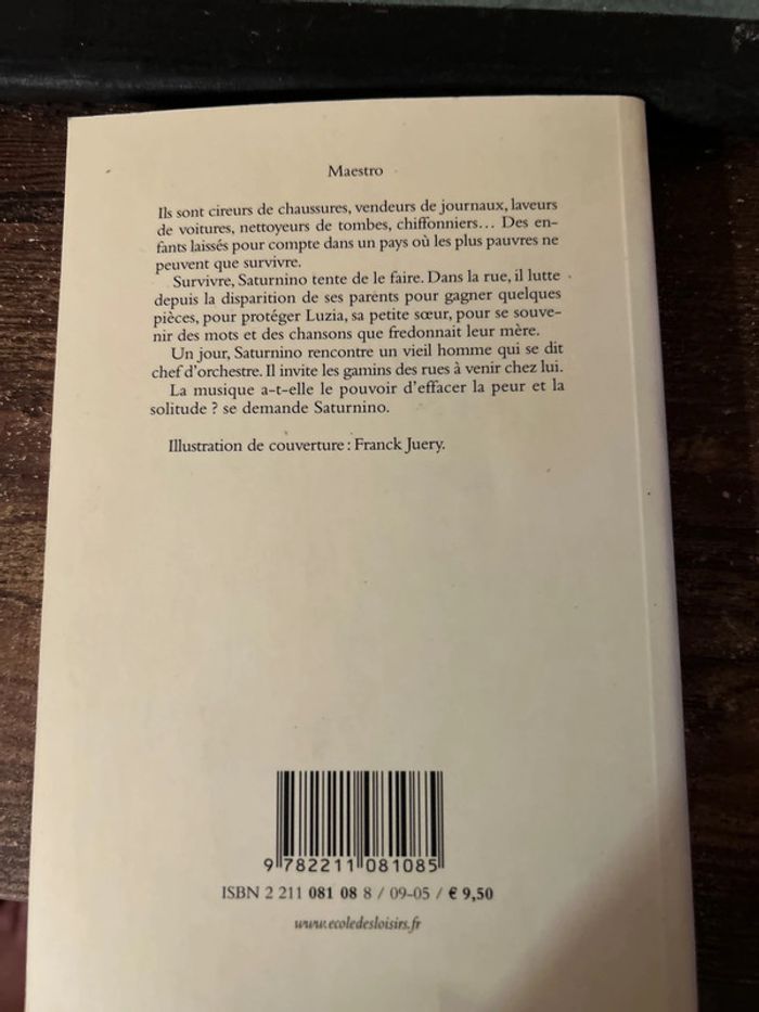 Maestro - photo numéro 2