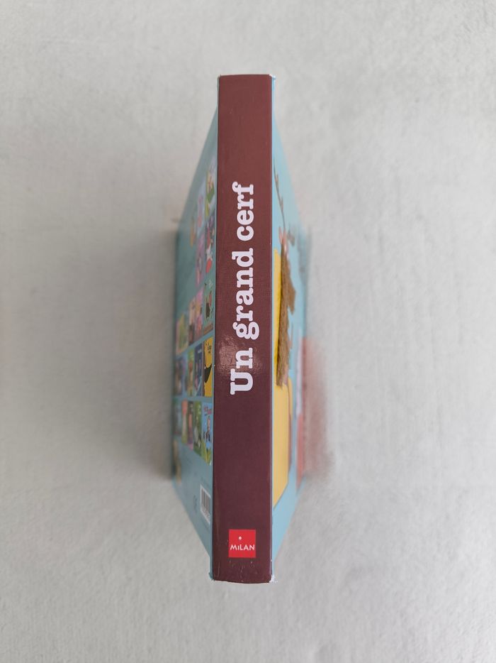 Livre Un grand cerf Milan - photo numéro 8