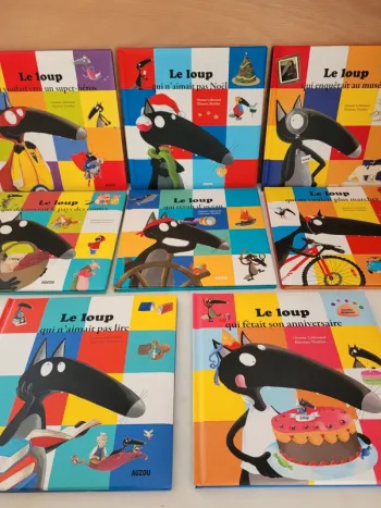 Lot de 8 livres grand format Le loup par Auzou