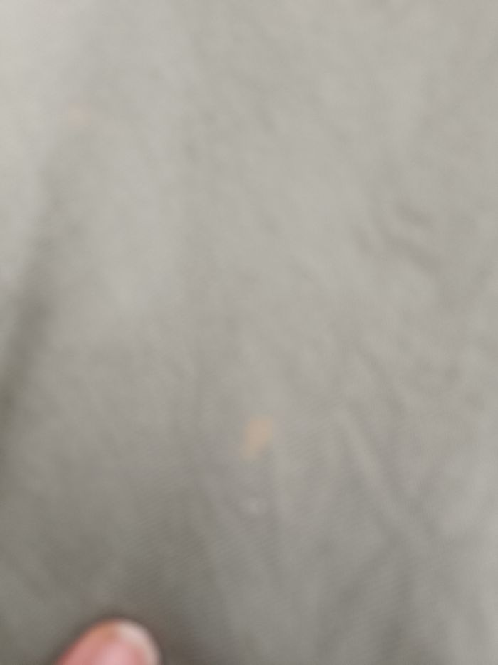 Chemise T N.C - photo numéro 6