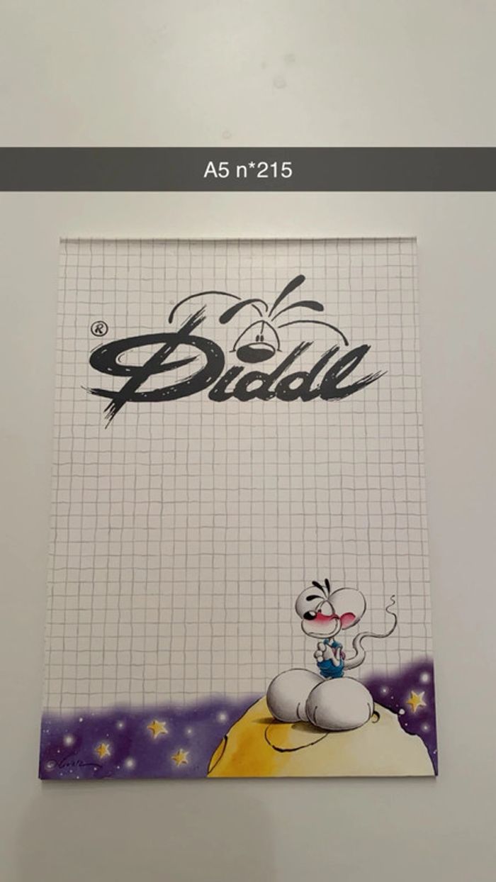 Feuille diddl A5 - photo numéro 6