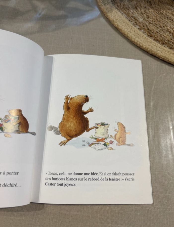 Le petit jardinier - photo numéro 3