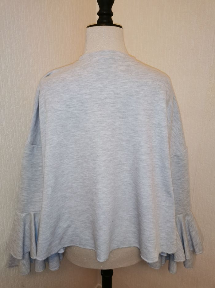 Sweat gris clair manches flares Primark - photo numéro 6