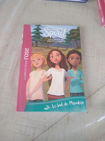 Spirit bibliothèque rose