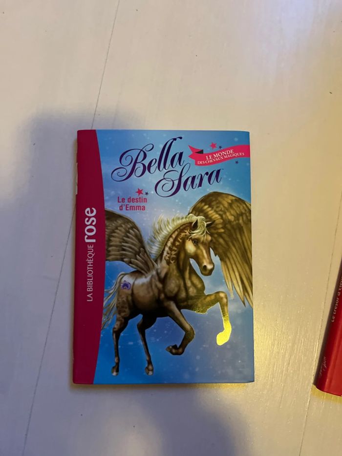 Collection Bella Sara de la Bibliothèque rose - photo numéro 2