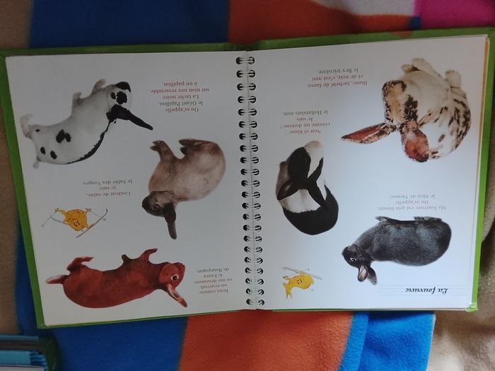 Livre enfant - photo numéro 2