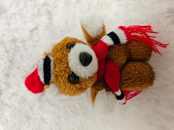 🌟🧸 Peluche Ourson Noël 🧸