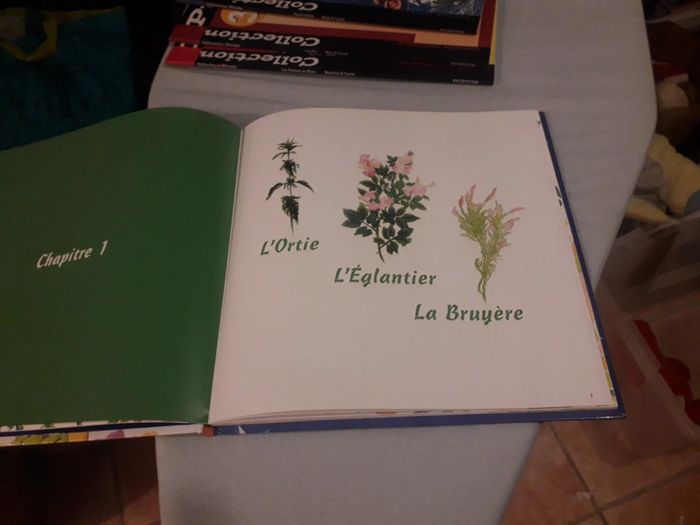 Livre enfants - photo numéro 2