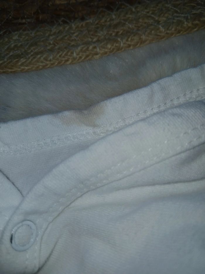 Body buissonnière - photo numéro 2