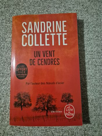 Livre titre Un vent de cendres
