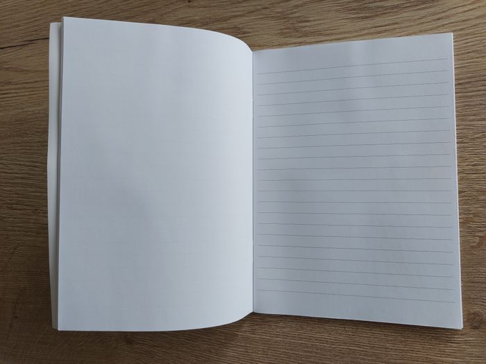 Petit cahier Zoé + Juju éditions Tourbillon - photo numéro 6