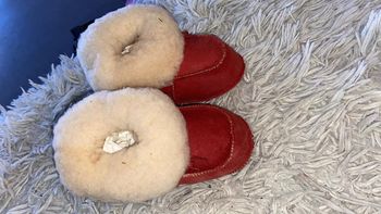 Très jolis chaussons chauds 19 Decorpele
