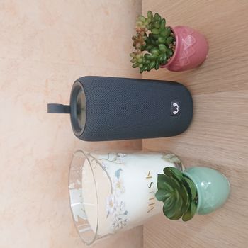 Enceinte Fresh'n'Rebel