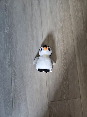 Pingouin  ty