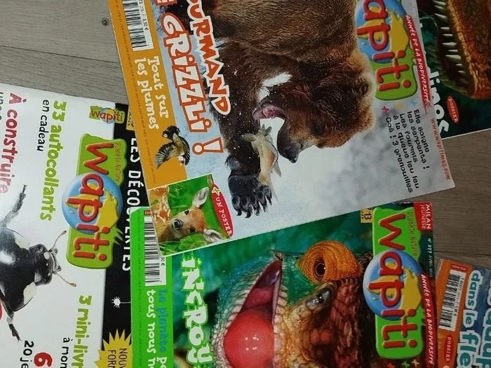 Lot de 7 magazines Wapiti année 2009-10 L026  7586089727 - photo numéro 8