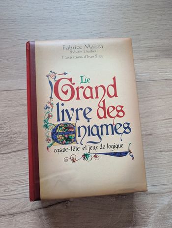 Le grand livre des énigmes