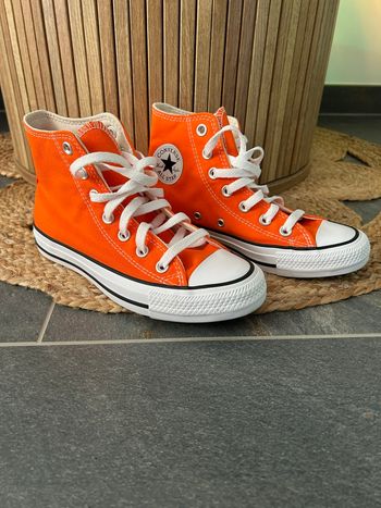 Converse 36