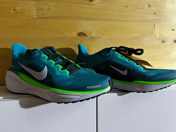 Air zoom pegasus 41