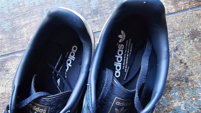 Gazelle 41 1/3 - photo numéro 5