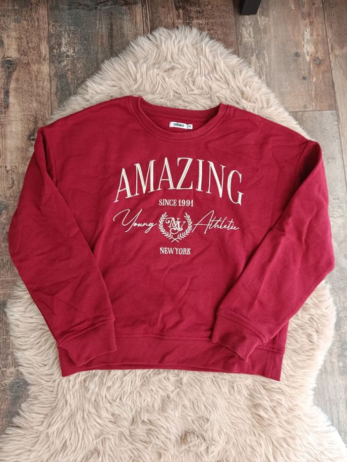 Sweat gemo 12 ans