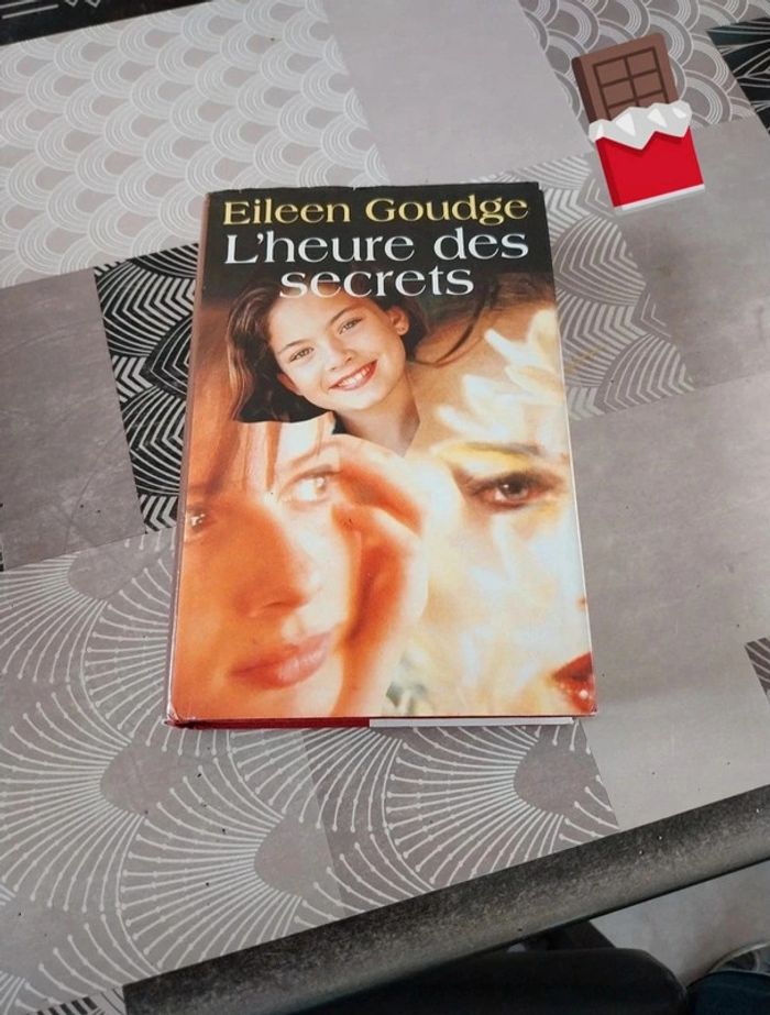 Livre l heure des secrets 450 pages