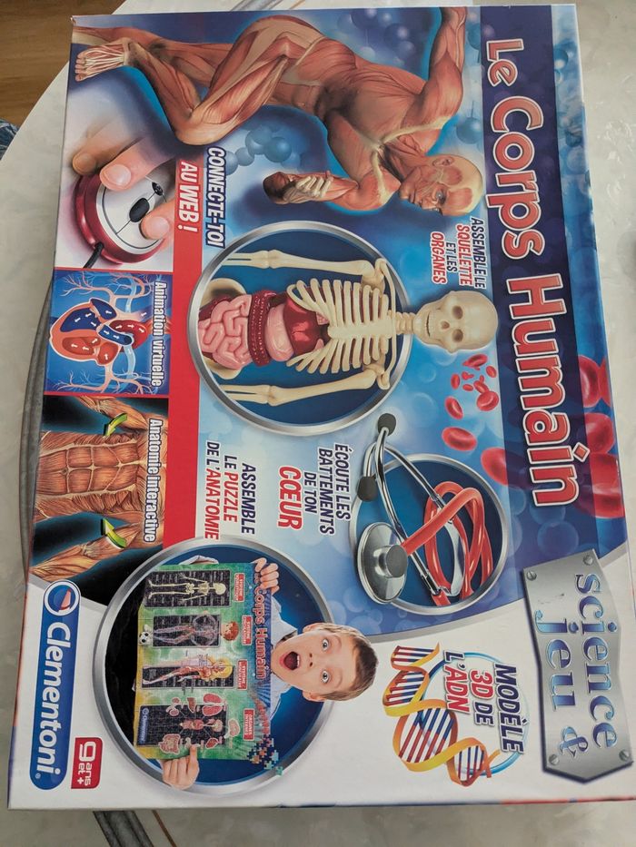 Jeux éducatifs, le corps humain science et jeux. À partir de 9