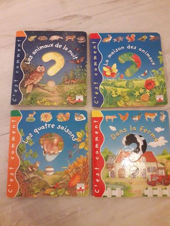 Livres à rabat "c'est comment ? "