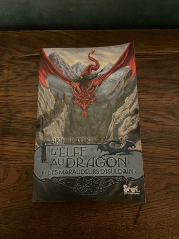 L’elfe au dragon - Tome 1 - Arthur Tenor