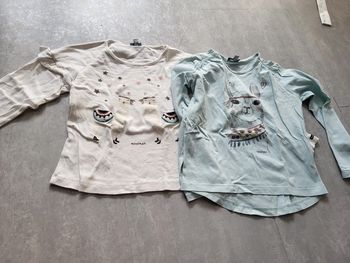 Lot 2 t-shirts fille