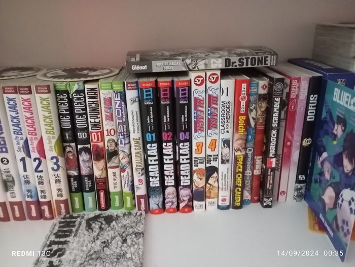 Lot de 240 mangas - photo numéro 10