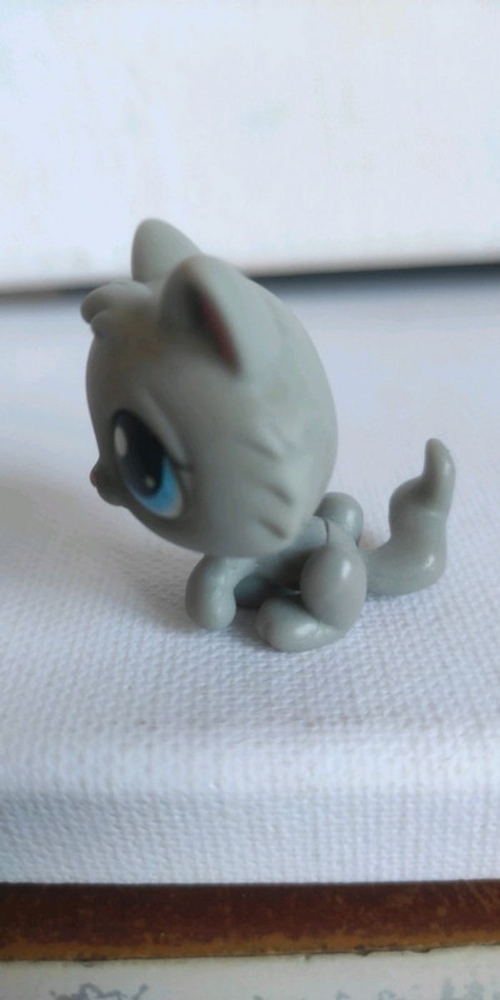My littlest petshop chat snowshoe 270 - photo numéro 5