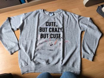 Sweat Bershka Pets taille L gris