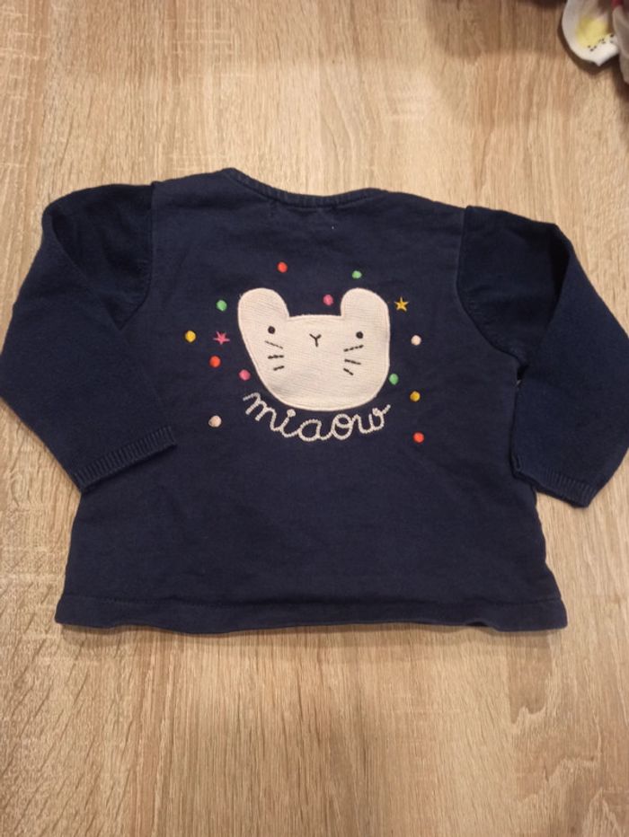 Gillet chat 3 mois - photo numéro 2