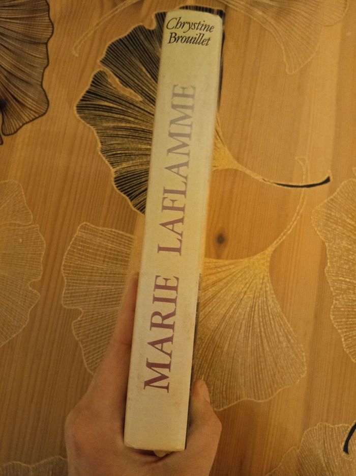 Livre (151) 📚 Marie Laflamme - photo numéro 3
