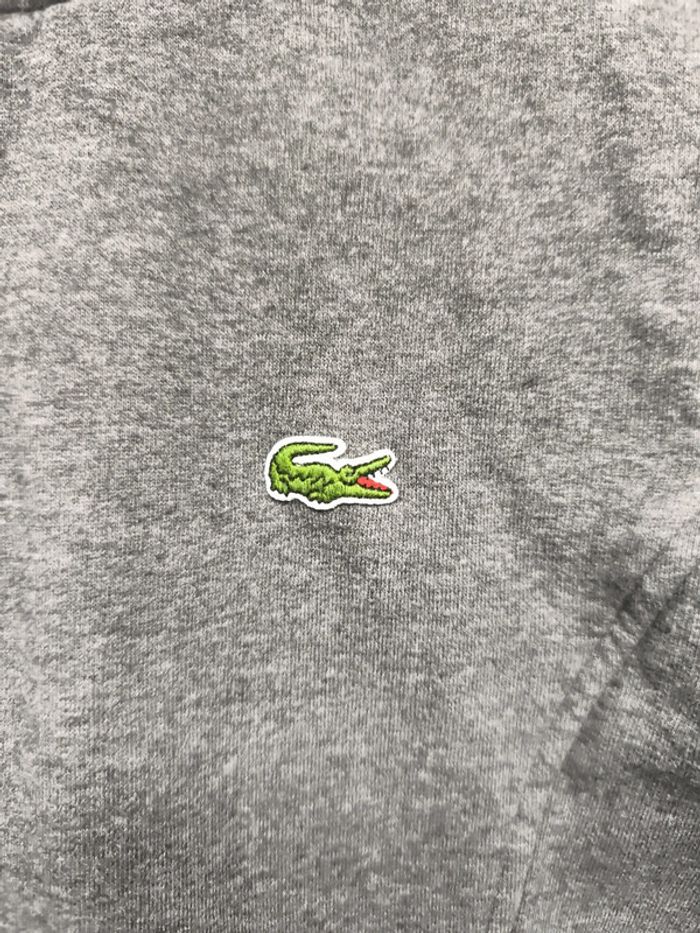 Veste Lacoste - photo numéro 3