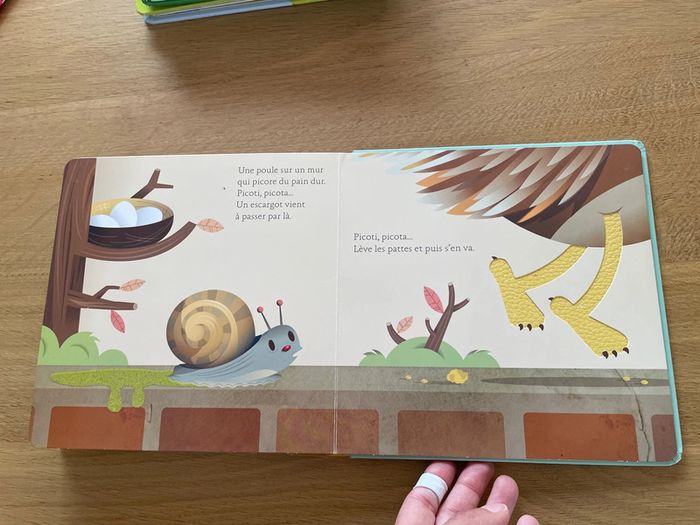 Une poule sur un mur histoire à toucher - photo numéro 7