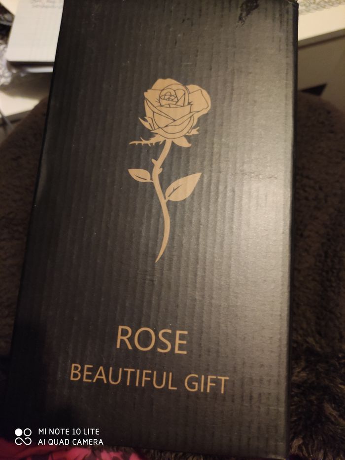 Rose lumineux - photo numéro 4