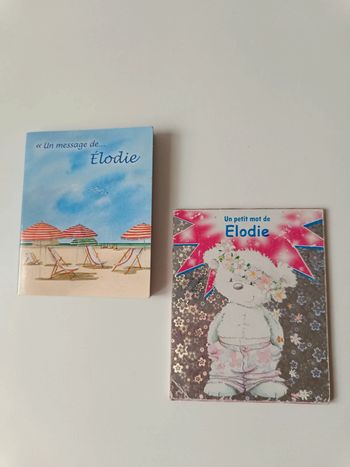 Carnet personnalisé Elodie idée cadeau anniversaire
