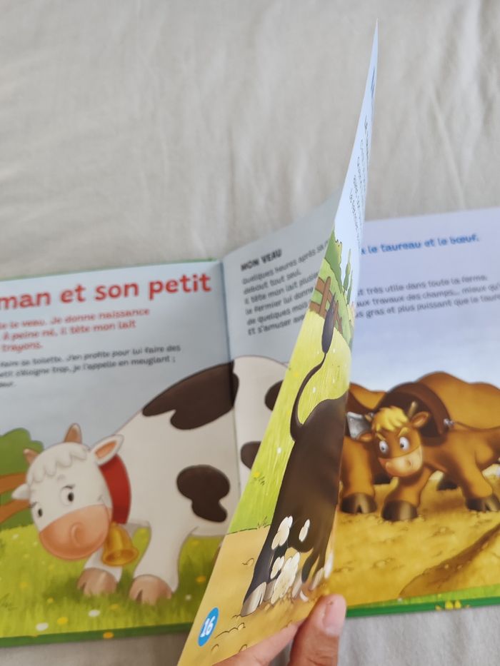La vache livre - photo numéro 3
