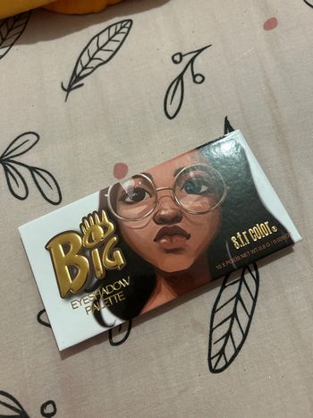 Palette de maquillage