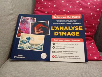Sciences PO Paris, analyse d'image